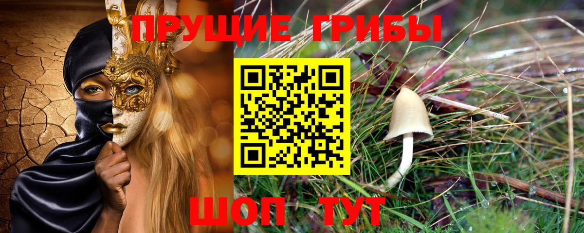 Псилоцибиновые грибы мухоморы  закладки  Донской  Вход с VPN 