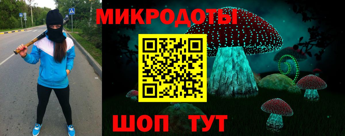 Псилоцибиновые грибы MAGIC MUSHROOMS Донской
